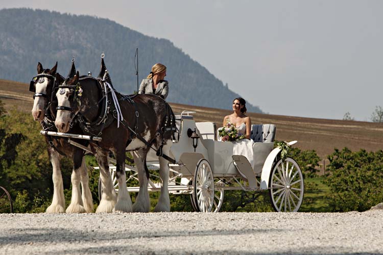 “Fairytale Horse & Carriage” Styled Shoot